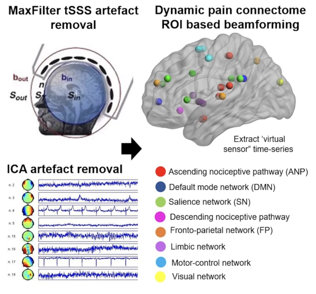 Communications Biology (@commsbio) on Twitter photo Resting-state MEG data from healthy controls and patients with chronic pain reveals spectral frequency-specific dysregulation and a temporal imbalance of brain microstates in chronic neuropathic pain. 🧠🩹<a href="/camille_fauchon/">Camille Fauchon</a>, <a href="/kren27/">Karen Deborah Davis</a>, <a href="/NatalieRaeOz/">Natalie Osborne, PhD</a>
nature.com/articles/s4200… Resting-state MEG data from healthy controls and patients with chronic pain reveals spectral frequency-specific dysregulation and a temporal imbalance of brain microstates in chronic neuropathic pain. 🧠🩹<a href="/camille_fauchon/">Camille Fauchon</a>, <a href="/kren27/">Karen Deborah Davis</a>, <a href="/NatalieRaeOz/">Natalie Osborne, PhD</a>
nature.com/articles/s4200…