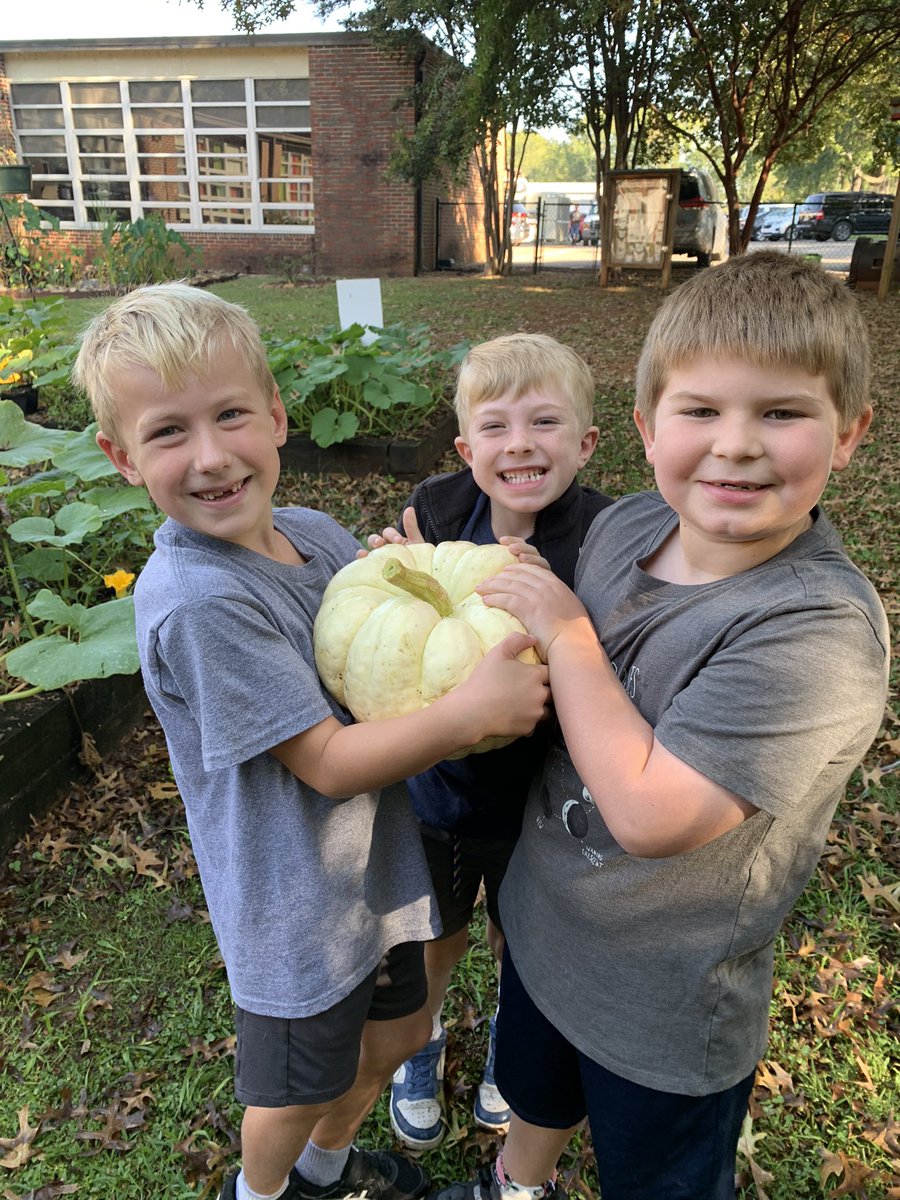 Diane Trout tweet media