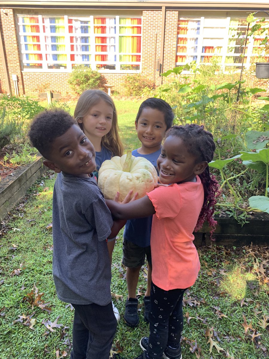 Diane Trout tweet media