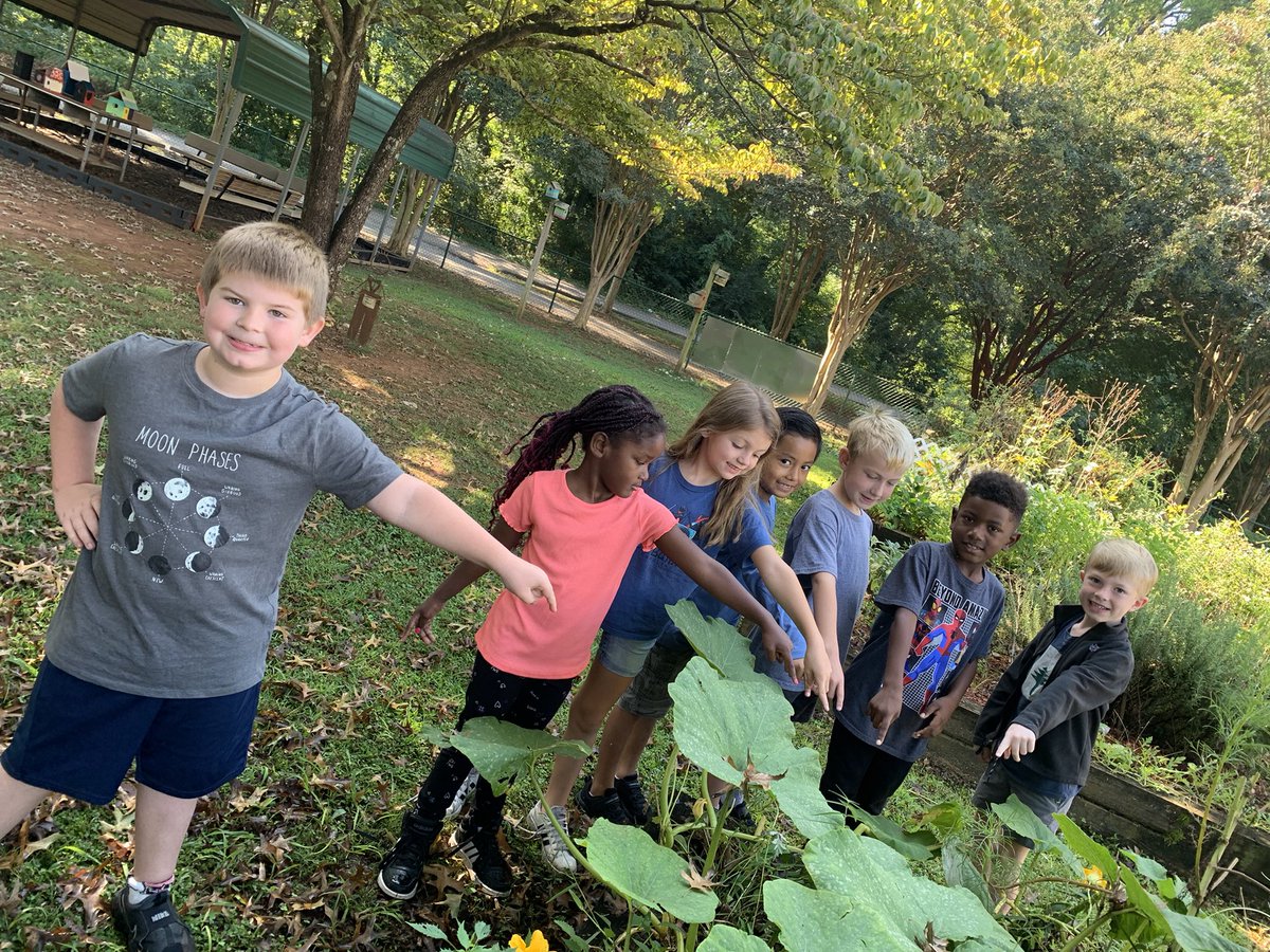 Diane Trout tweet media