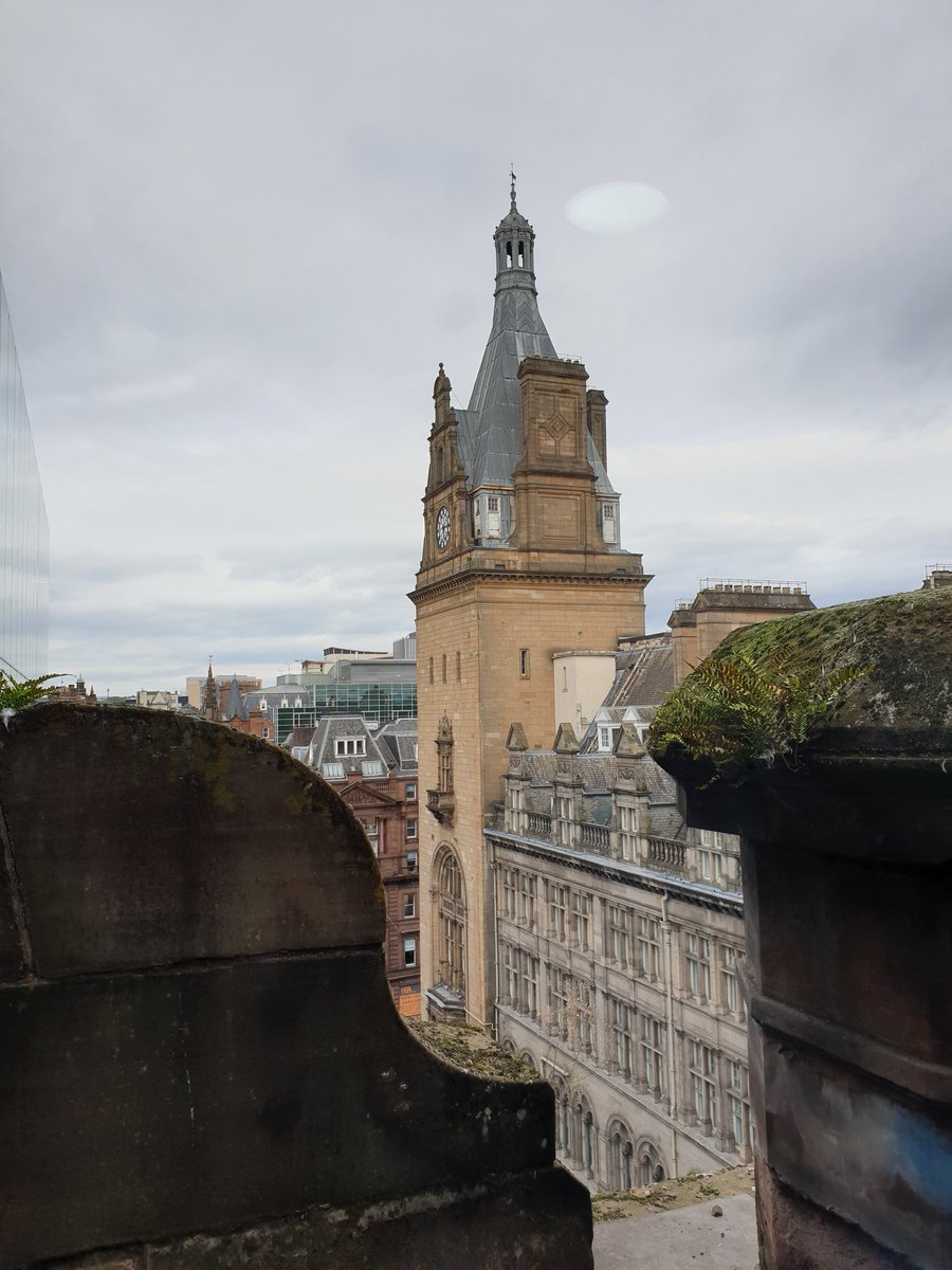 Ruth Whitney tweet media