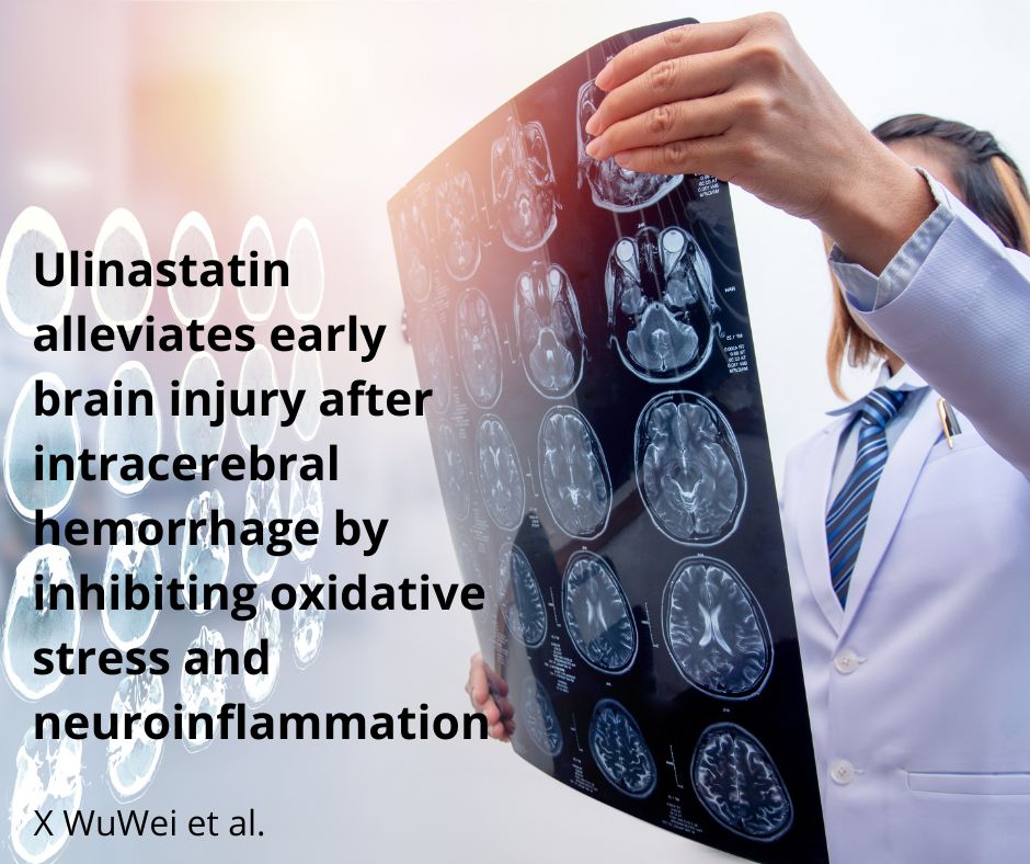 ActaCirurgicaBR's tweet photo. 📌The neuroprotection and potential molecular mechanisms of #ulinastatin in early #braininjury induced by spontaneous intracerebral hemorrhage in 🐁were the objectives of this study.
https://t.co/ibYJyhAD2S  

#SurgEd #MedEd #surgtwitter #SoMe4Surgery #MedStudentTwitter https://t.co/17LDzpPXyf