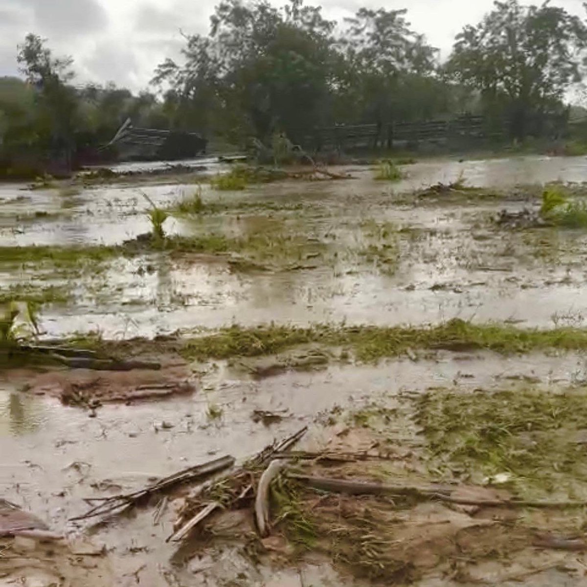 myroots4change's tweet photo. https://t.co/FLdH5YnuIn After so much devisation and loss in Puerto Rico from Hurricane Fiona all we can do is help rebuild and restore. Please partner with us today in helping so many farmers and their families. Link above to donate @VincentZaldivar https://t.co/VroScqFNPT