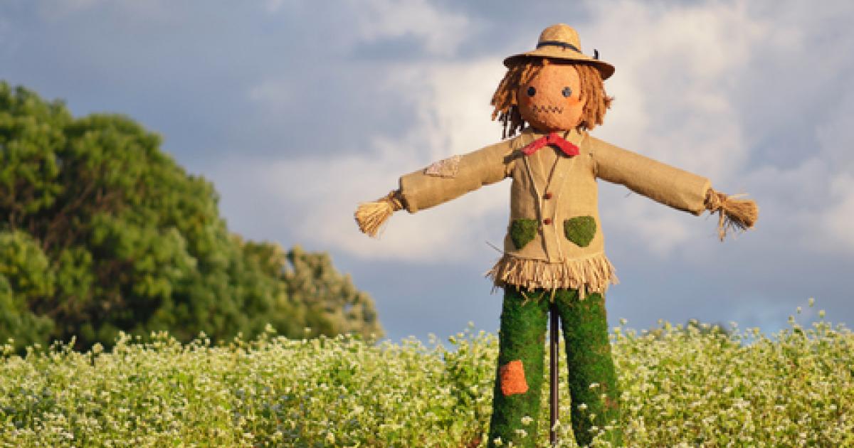 16e jour sans ecole:33 enfants sourds>office d'epouvantails
<a href="/BFMTV/">BFM</a> <a href="/brutofficiel/">Brut FR</a> <a href="/TF1Info/">TF1Info</a> <a href="/Mediapart/">Mediapart</a> @Asso_Mediapi <a href="/le_Parisien/">Le Parisien</a> <a href="/FNSF/">FNSF</a> <a href="/CNCPH_fr/">CNCPH</a> <a href="/EmmanuelMacron/">Emmanuel Macron</a> <a href="/Elisabeth_Borne/">Élisabeth BORNE</a> <a href="/PapNdiaye/">Pap Ndiaye</a> <a href="/Gregorydoucet/">Grégory Doucet</a> <a href="/CIsaacSibille/">Cyrille IsaacSibille</a> @eleBranchy <a href="/MC_Garin/">Marie-Charlotte Garin</a> <a href="/trudigoz/">Thomas Rudigoz</a> <a href="/gabrielamard/">Gabriel Amard</a> @hub_laferriere