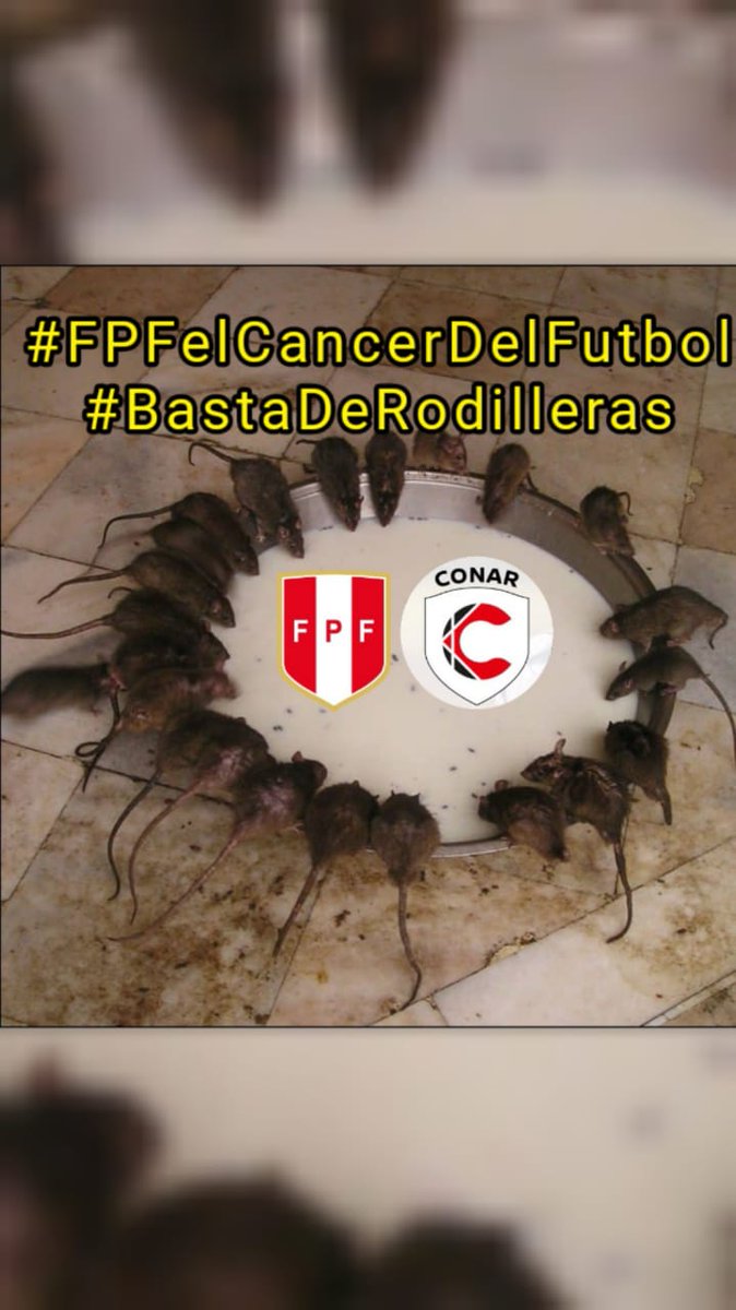 Barrio_king_'s tweet photo. "UNIVERSITARIO DE DEPORTES"

CON NOSOTROS QUIEN QUIERA, CONTRA NOSOTROS QUIEN PUEDA..!!

@ipdperu
@TuFPF
@ADFP_Peru 
@indeciperu 
@FiscaliaPeru 
@PoliciaPeru
@SafapPeru

#JusticiaParaLaU
#GremcoNuncaFueAcreedor https://t.co/j2tMGQkBO4