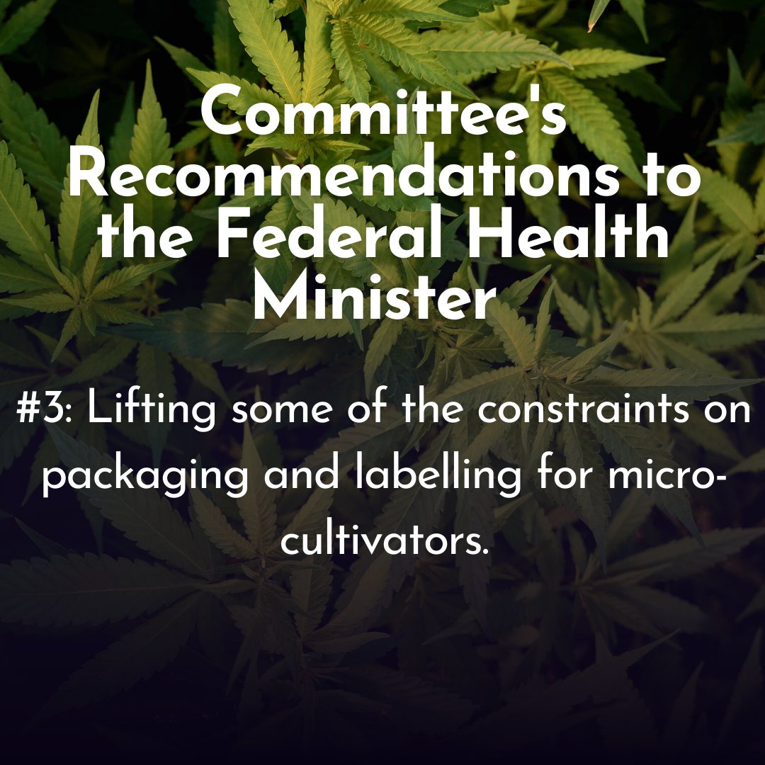 bccraftcoop's tweet photo. HOC Agriculture Committee has now asked the federal Health Minister to consider a series of recommendations during the upcoming statutory review of the Government of Canada’s C@nn@bis Act. The Committee’s suggestions are focused on: #cannabisactreview https://t.co/livx9jjuTd