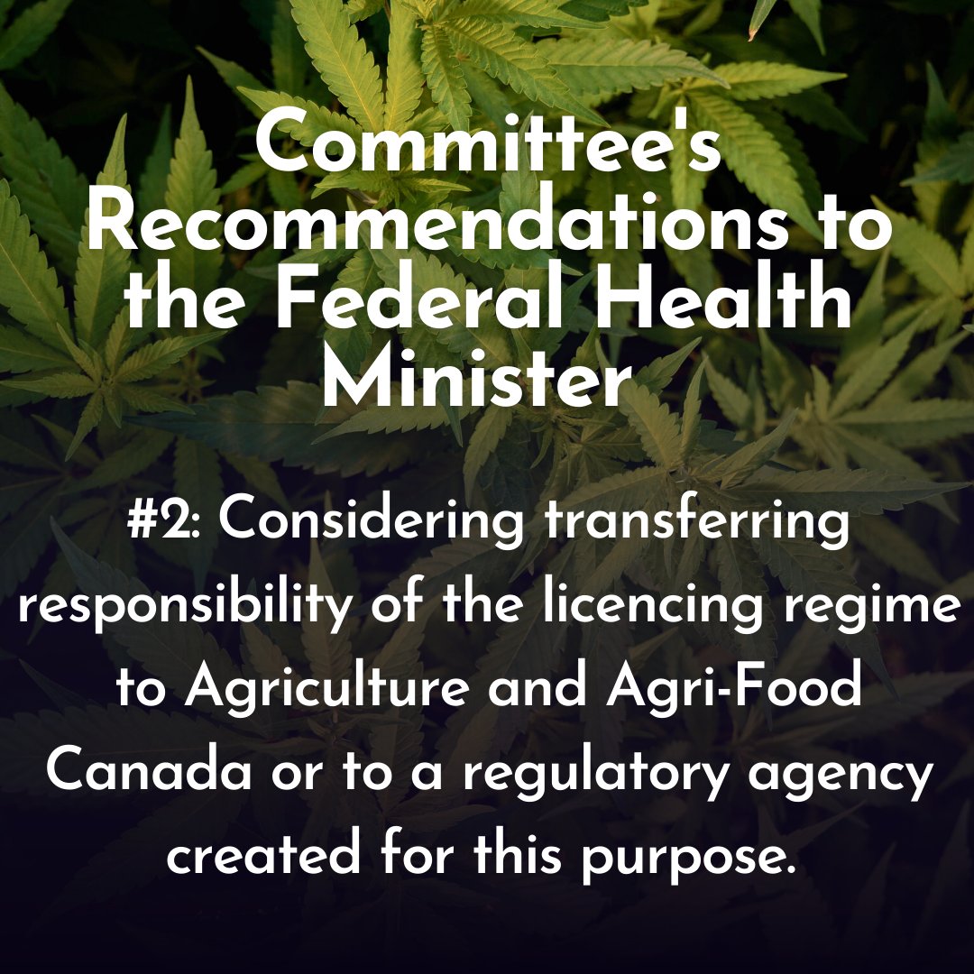 bccraftcoop's tweet photo. HOC Agriculture Committee has now asked the federal Health Minister to consider a series of recommendations during the upcoming statutory review of the Government of Canada’s C@nn@bis Act. The Committee’s suggestions are focused on: #cannabisactreview https://t.co/livx9jjuTd