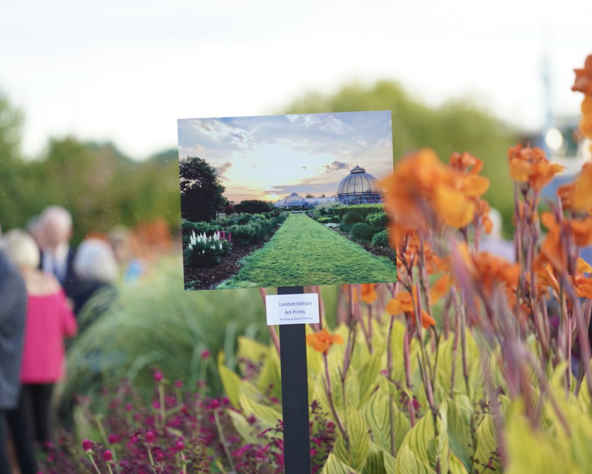 Belle Isle Conservancy tweet media