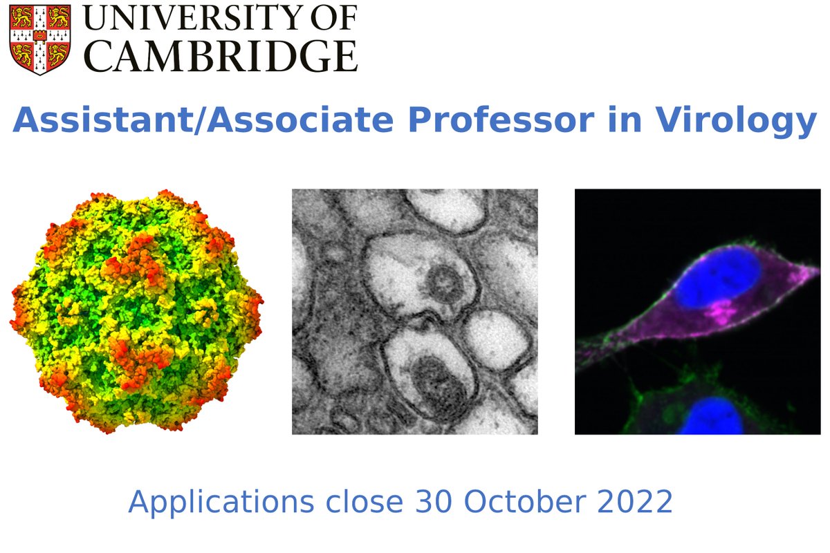 Job opportunity: Assistant/Associate Professor in Virology. Join a thriving virology community with excellent facilities in a supportive environment. Applications from postdocs ready to start their own group are encouraged. Deadline: 30 October. Apply: jobs.cam.ac.uk/job/36727/