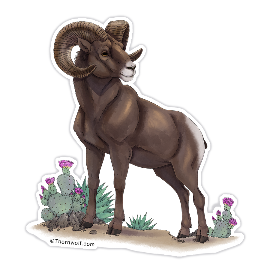 「New Review! Bighorn sheep vinyl decal"Gr」|Thornwolf | Nicole Dornsifeのイラスト