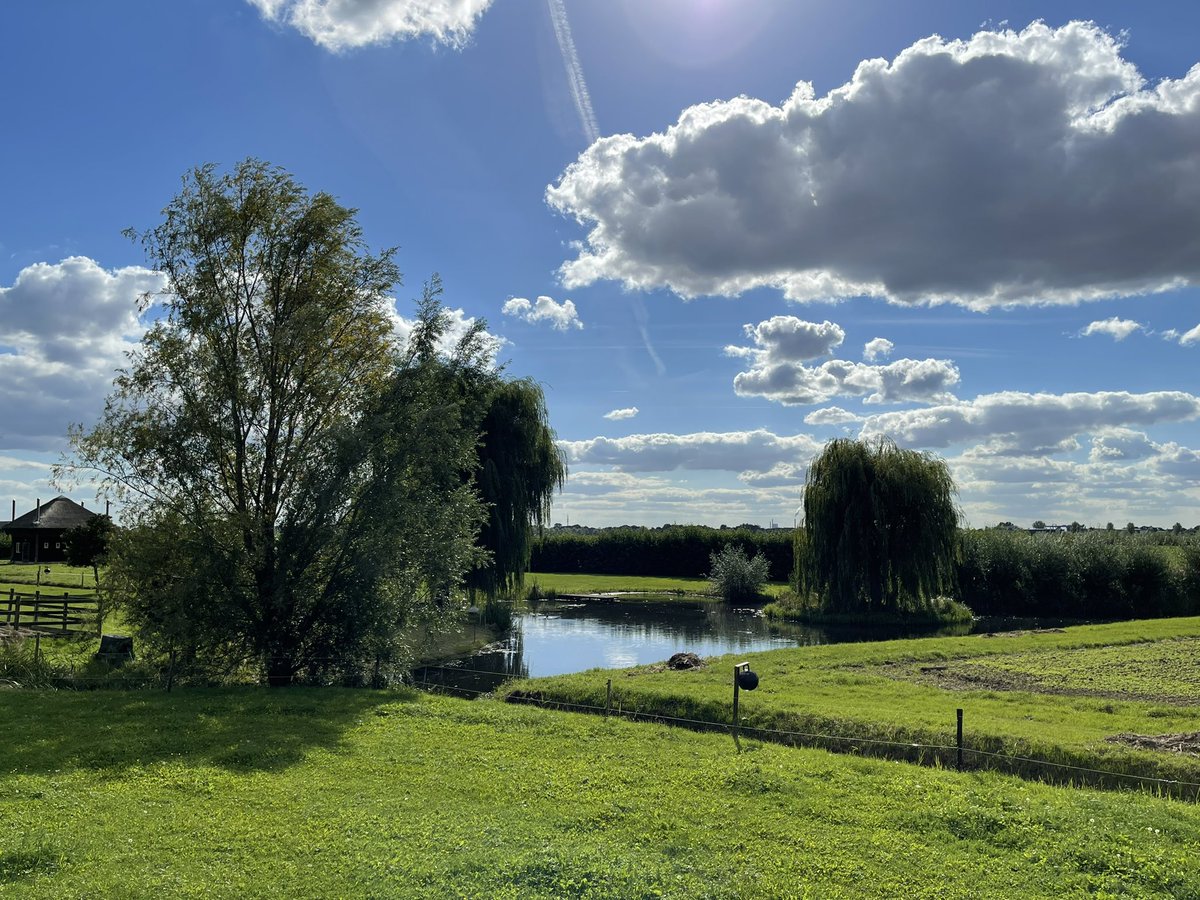 JanineBos's tweet photo. Een korte wandeling via het Doornse Molenpad #altena #uppel #almkerk https://t.co/GVmXD4lsa4