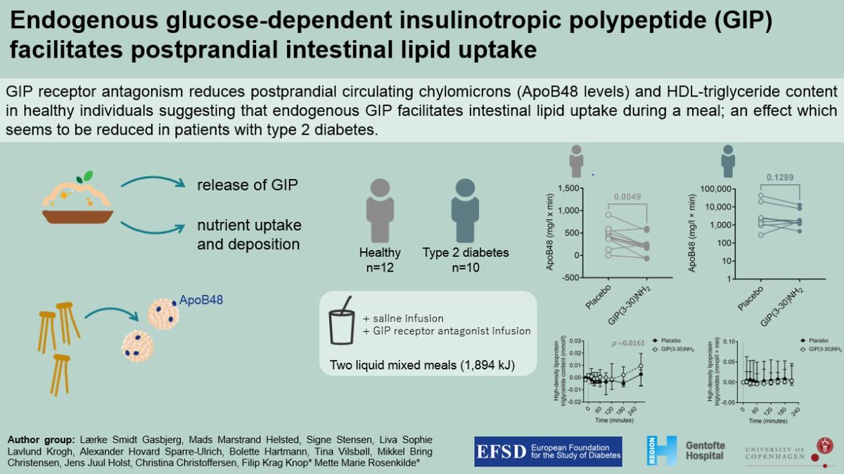Filip K. Knop (@filip_knop) on Twitter photo Endogenous GIP facilitates postprandial intestinal lipid uptake
Check out <a href="/GasbjergL/">Lærke Smidt Gasbjerg</a>'s <a href="/EASDnews/">EASD</a> poster and abstract: abstractsonline.com/pp8/#!/10613/p…
virtualcongress.easd.org/easd/easd2022/…
<a href="/HerlevGentofte/">HerlevGentofte Hosp.</a> @BiomedUCPH <a href="/UCPH_health/">UCPH Healthscience</a> <a href="/Stenodiabetes/">Steno Diabetes Center Copenhagen</a> Endogenous GIP facilitates postprandial intestinal lipid uptake
Check out <a href="/GasbjergL/">Lærke Smidt Gasbjerg</a>'s <a href="/EASDnews/">EASD</a> poster and abstract: abstractsonline.com/pp8/#!/10613/p…
virtualcongress.easd.org/easd/easd2022/…
<a href="/HerlevGentofte/">HerlevGentofte Hosp.</a> @BiomedUCPH <a href="/UCPH_health/">UCPH Healthscience</a> <a href="/Stenodiabetes/">Steno Diabetes Center Copenhagen</a>