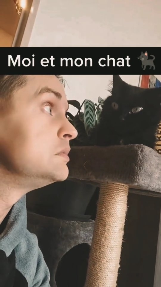 CharlyVandv's tweet photo. Moi et mon chat .🐈‍⬛🐈‍⬛🐈‍⬛

#rassurezmoi #jetaimemonchat #monchatetmoi #histoiredechat #chatmignon #droledechat #chatnoir #aimemoi #yeuxchat #chattropmignon #elleestamoureuse #litiereduchat #lepotitchat #monchatdamour https://t.co/aO6SjPBgzO https://t.co/T4t3xSXHqt
