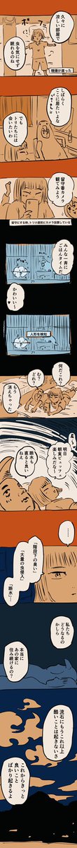 私たちどうなるのかしら

#糸島STORY 