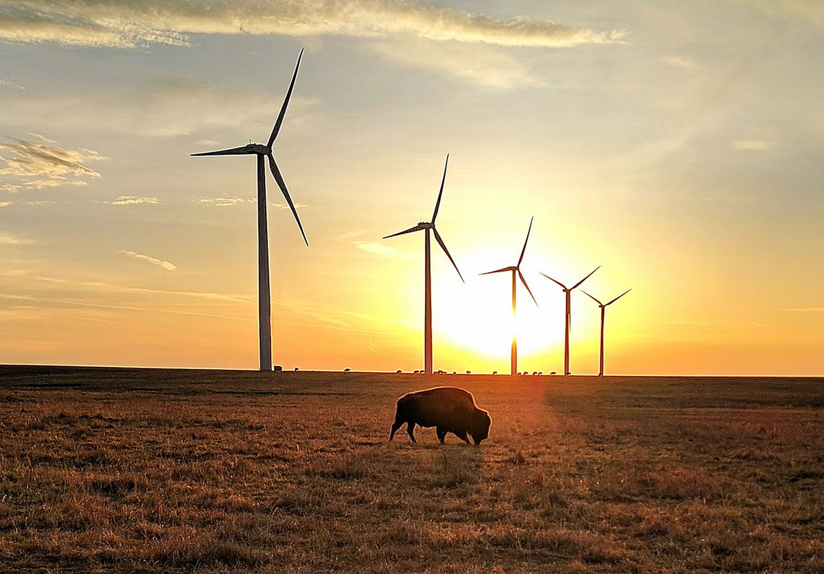 Avangrid's tweet photo. It’s #ZeroEmissionsDay! We’re committed to providing clean energy & are proud that over 90% of our generation capacity is emission-free. We know there’s still work to be done to achieve America’s clean energy future & are working toward reaching carbon neutrality. #ZeDay https://t.co/QFDRofjUV1