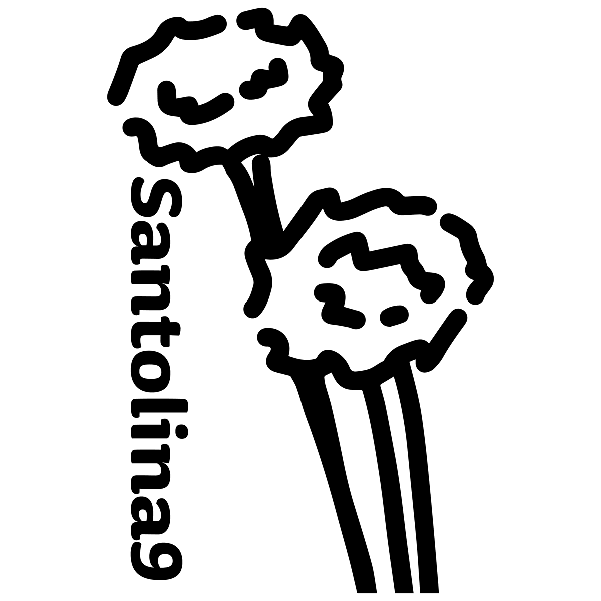 限界技術鍵盤のmeishi2展展示品「Santolina9」の展示は9/23(Fri)までとなります。
まだ見ていない方はぜひ遊舎工房に足を運んでみてください！