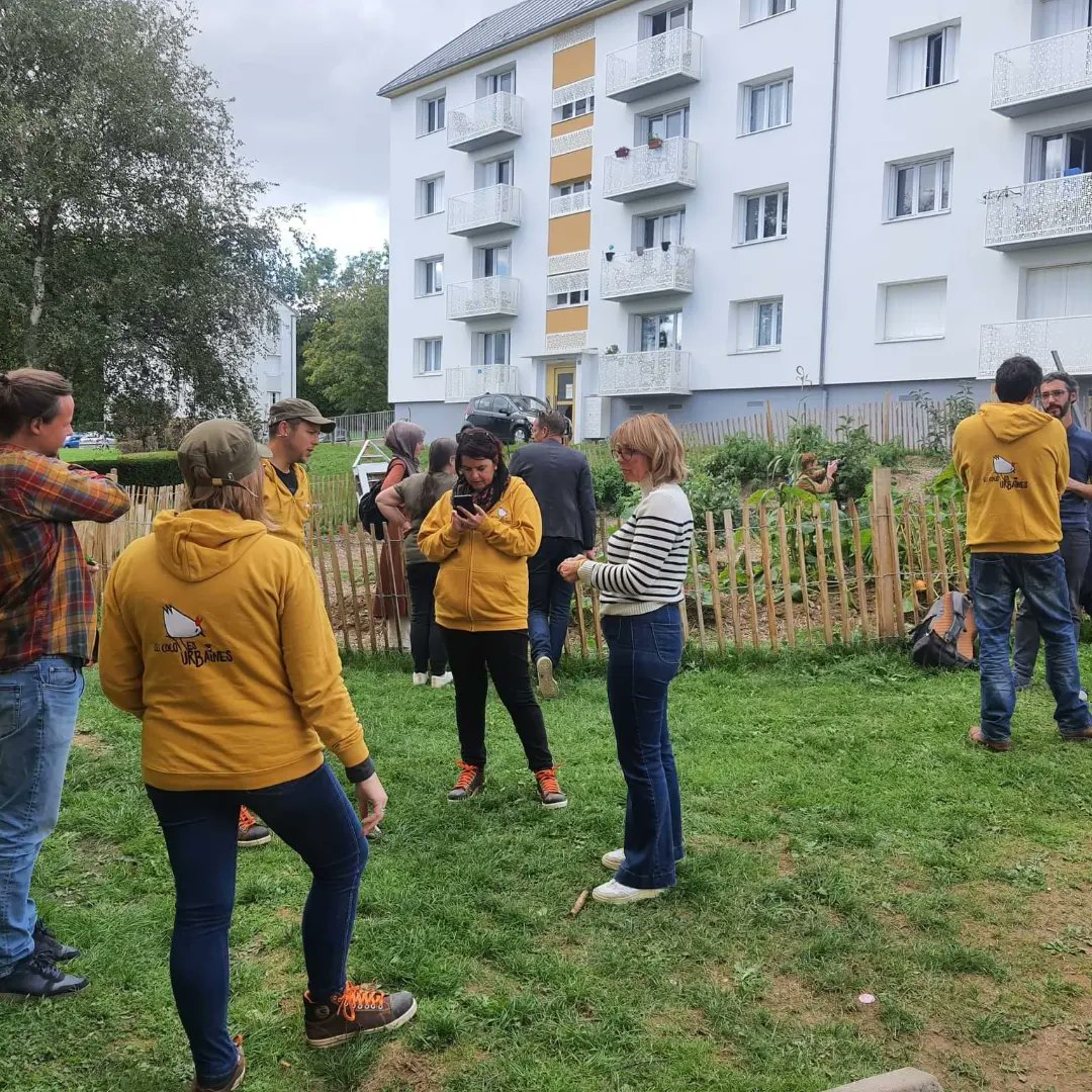 Encore de beaux moments sur le quartier Brossolette à #Malaunay avec <a href="/LogeoSeine/">Logeo Seine</a> estuaire et Les Jardins du Petit Moulin  : tournage d'un reportage sur l'histoire du potager et confection des futures buttes de courges ! 🌱