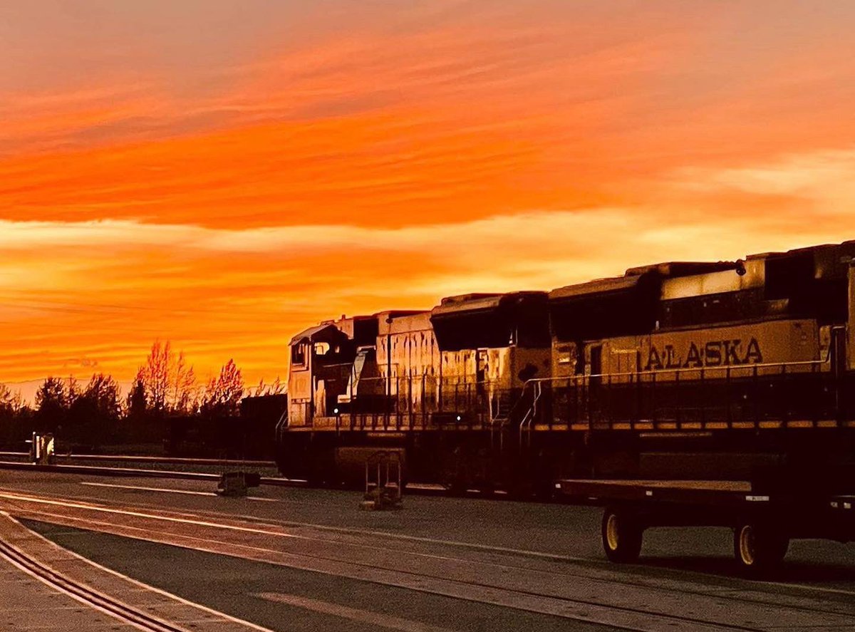 Alaska.org tweet media