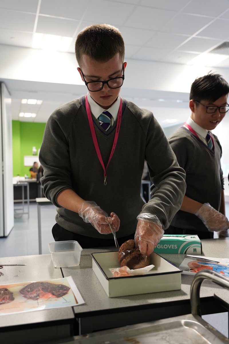 NewmanRCCollege's tweet photo. #OpenEvening https://t.co/LcHsQuSSuH