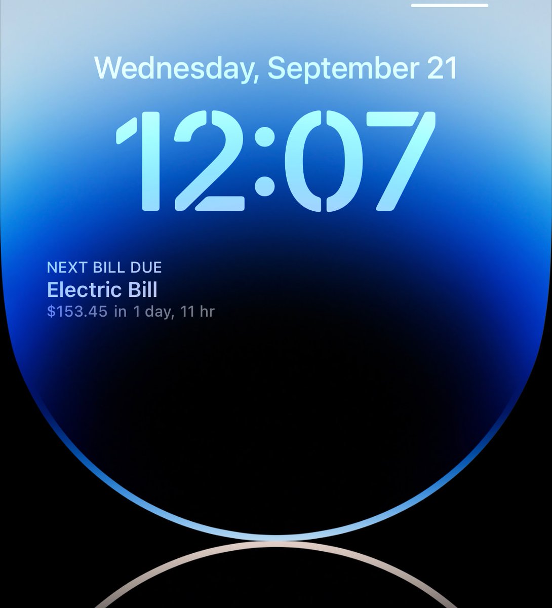 LittleFin LLC tweet media