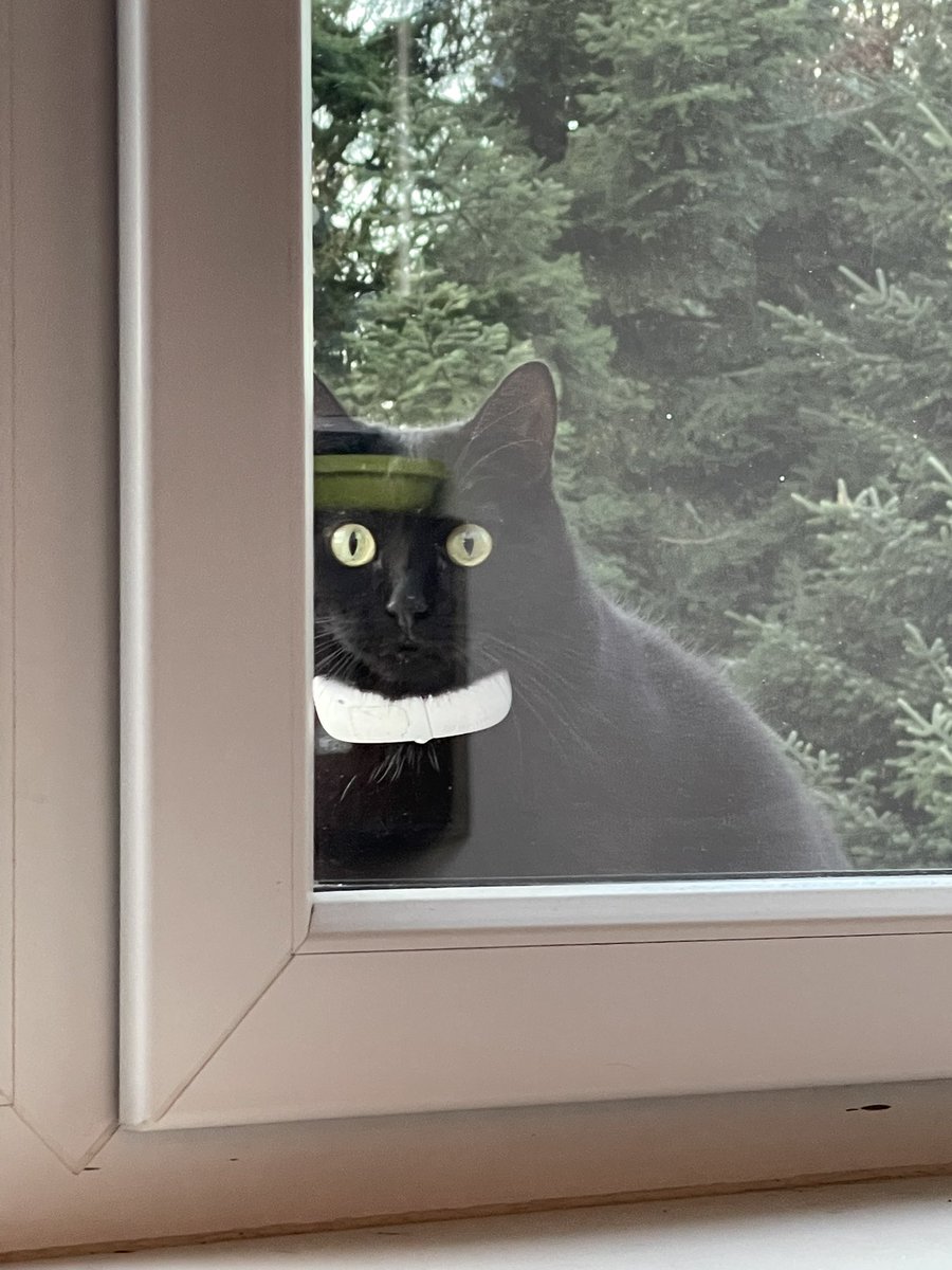 Lufthilde's tweet photo. Was macht ihr da??? 👀🤣 #nopsi #flauschhausen https://t.co/b7yPRLzNM4