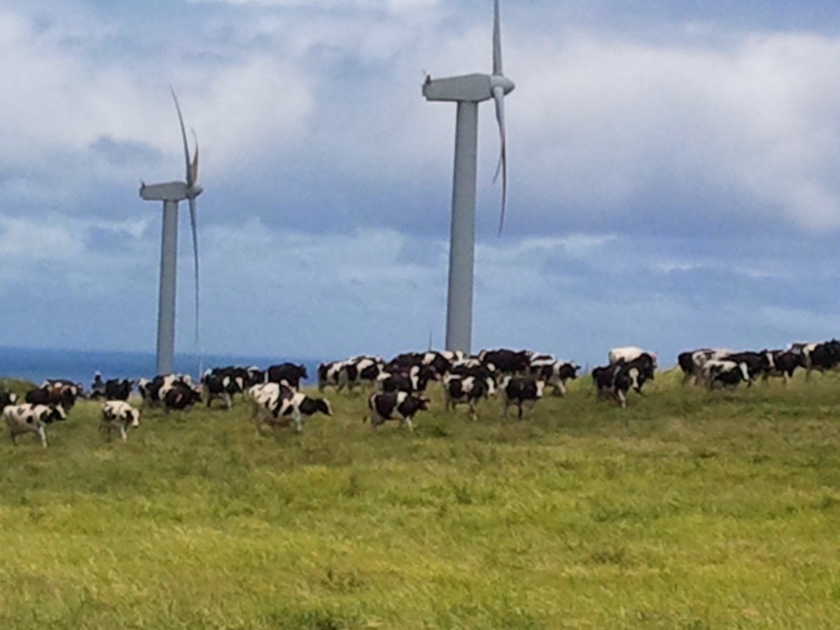 New Land-Based Wind Farms in Hawai`i Are Unlikely

ililani.media/2022/09/new-la…