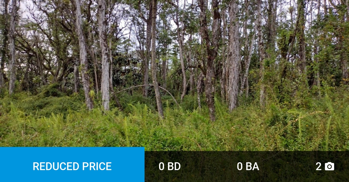 pineapplehomes8's tweet photo. 📍 Reduced Price 📍 This recently reduced home at Kauai Rd Lot #: 289 in Pahoa won't last long, so, don't wait to set up a showing! Reach out here or at (808) 443-6219 for more information! https://t.co/RigAms5LKa https://t.co/orUBc3JDUk