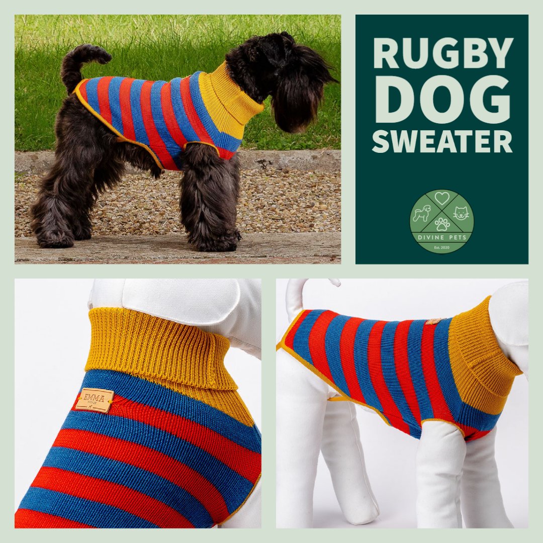 DivinePetsUK's tweet photo. It's sweater week and we're starting with this colourful number from EMMA Firenze. 🐶🍂

Handmade to order to your dog's measurements, this luxurious pure merino jumper is inspired by rugby jerseys.

🛒 https://t.co/KcvdHhToIW

#dogsuk #divinepets #dogsoftwitter #dogjumper https://t.co/YaUavEaQaK