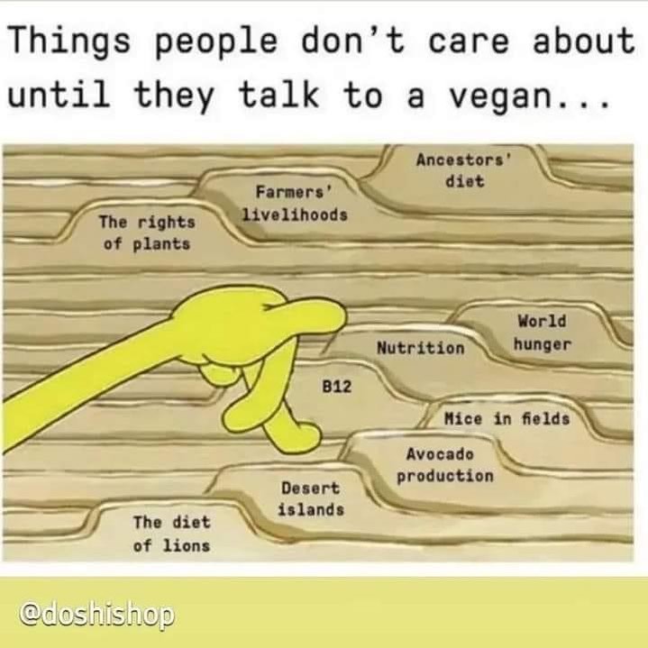 I have SO heard these "concerns" coming at me! 🙄How about you?

#vegan #mercyforanimals #cancelanimalag #peta #endspeciesism #love #bunny #meditation