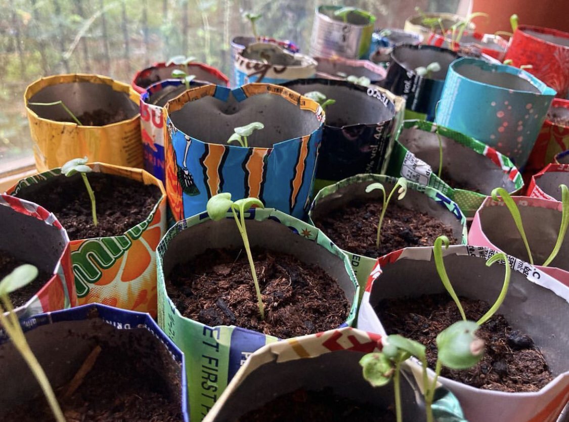 Folkestone Climate Carnival tweet media