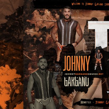 GarganoSource's tweet photo. Here's a sneak peek at our Main site layout designed by the amazing @designtopia 🧡 It's Cleveland Browns inspired &amp; we hope @JohnnyGargano &amp; everyone will love it when we debut it ☺️ https://t.co/r73LSFA3MJ
