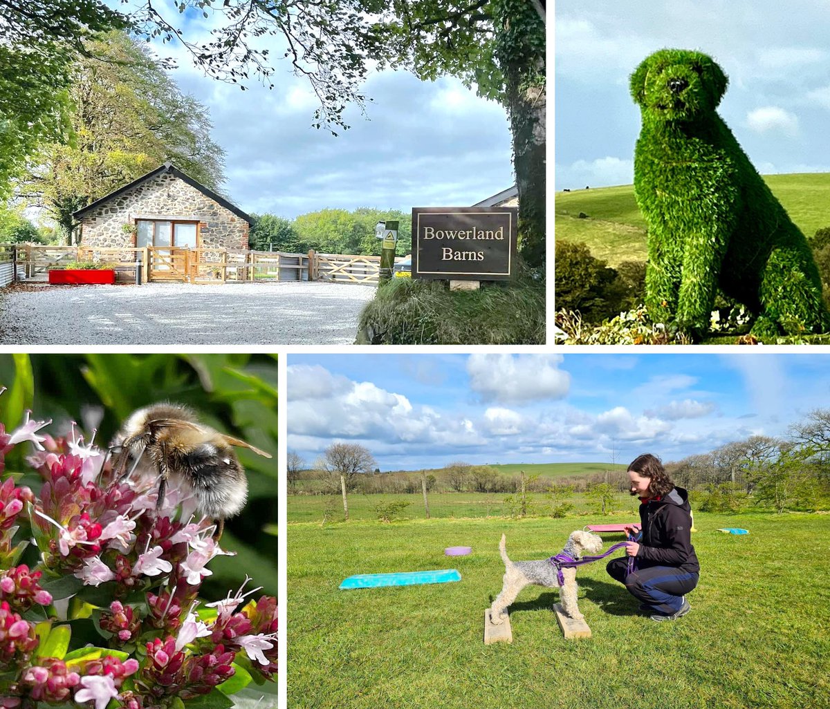 BowerlandDevon's tweet photo. 🌸Autumn at Bowerland🌸
Take 25% off the training portion of your stay 
https://t.co/fjaIzpYSNM https://t.co/bvP6cu2l6i