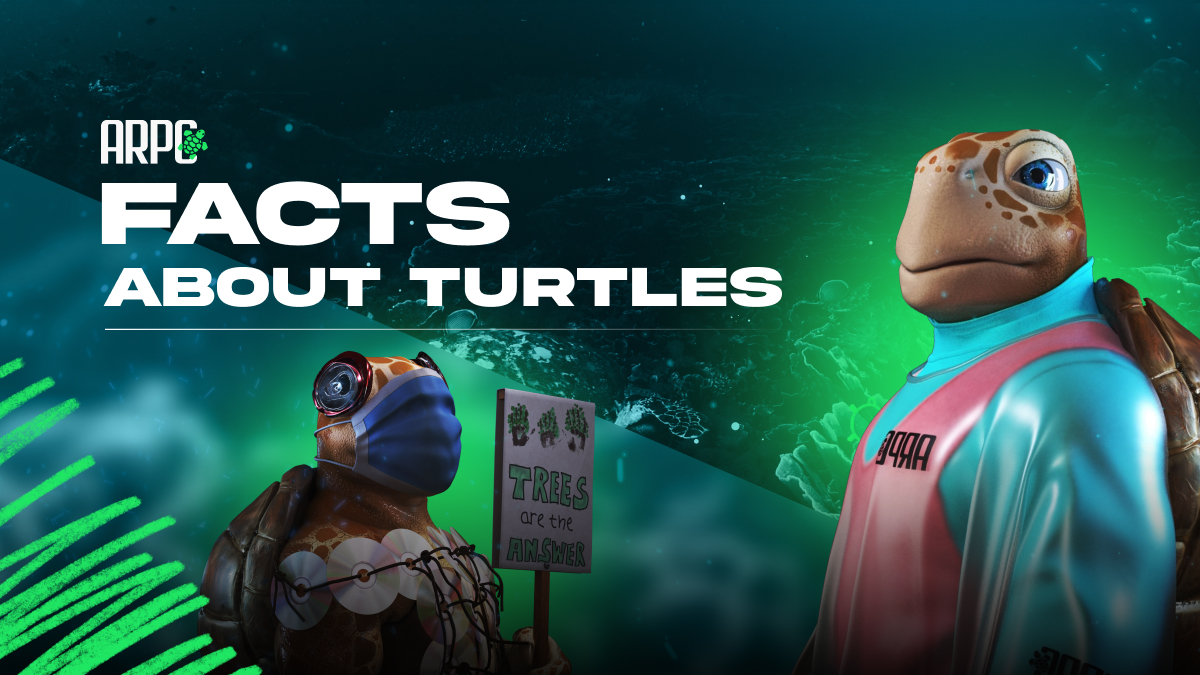 Animal Reckless Party Club tweet media