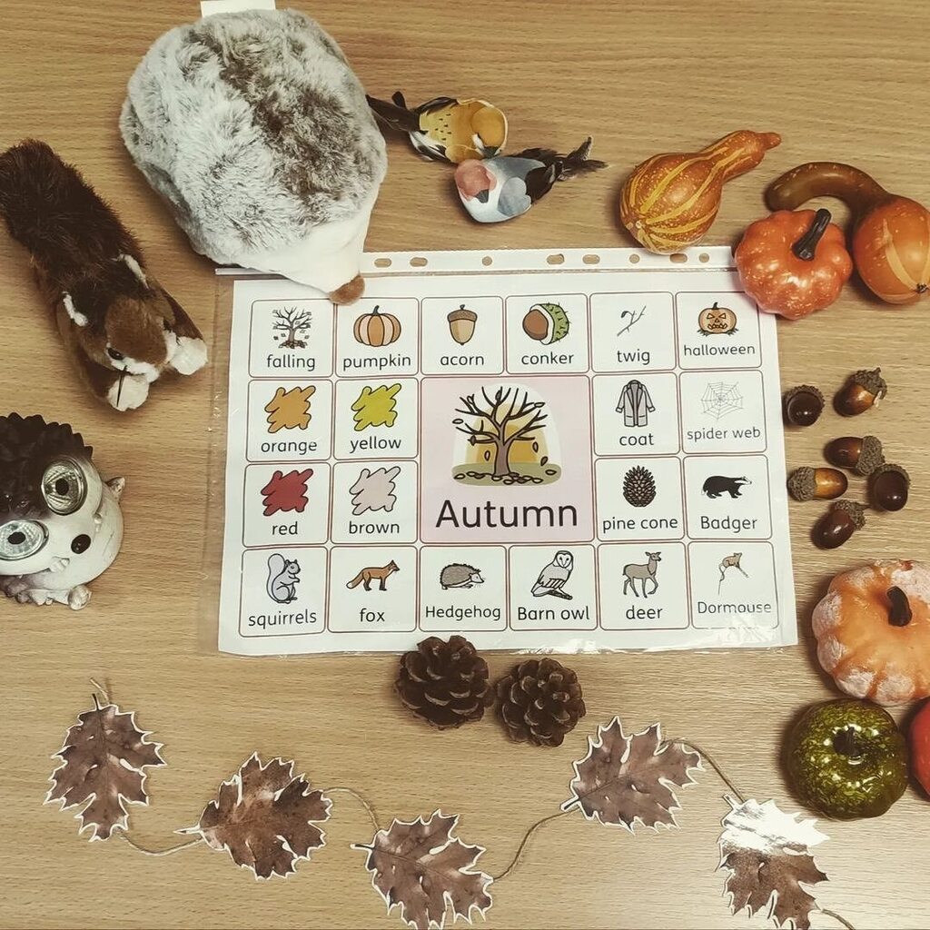 Widgit_Software's tweet photo. 📷: @sen_teacher_in_england
Visual aids and sensory items for an Autumn activity 🍂🍁🦔🐿️
@widgitsoftware
#SEN #widgitonline #senclassroom #SENteacher #KS3 #sensoryplay #sensoryitems #visualsupport #visuals #communicationboard #inprint3 #autumn #seas… https://t.co/5hbc9ti574 https://t.co/ztLq5IHb3A