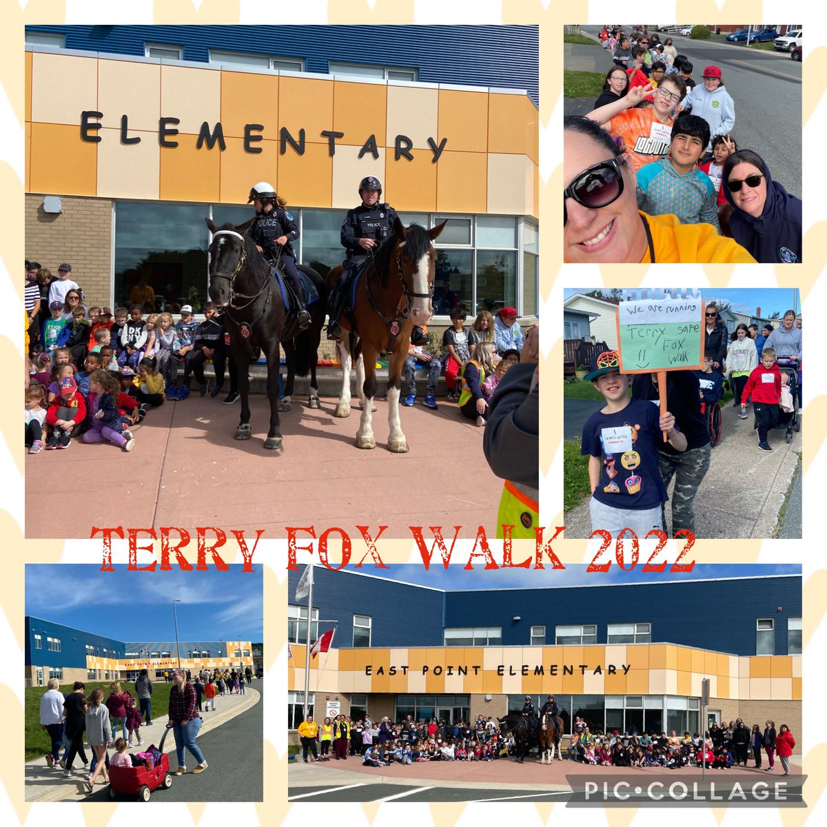 eastpointelem's tweet photo. We had a beautiful afternoon for our @TerryFoxCanada walk this afternoon.  Big shoutout 📣 @RNC_PoliceNL mounted unit for joining us and all our families for walking with us and cheering us on along the way! @NLESDCA https://t.co/T3zHR5kSKT
