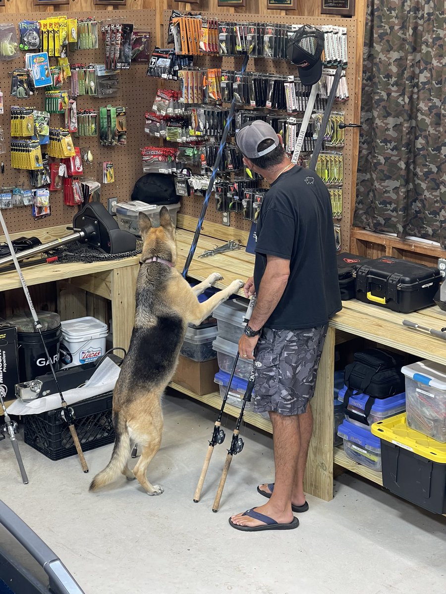 TeamLintner's tweet photo. Out in the shop today &amp; Kenya is trying to help 😏 Time to start organizing for 2023 🎣 The New Vexus is Coming Soon✨ #tacklewarehouse #vexusboats #skbcases_sports #daiwa #kenyathegerman🐕 https://t.co/E1LCu7hzZ8