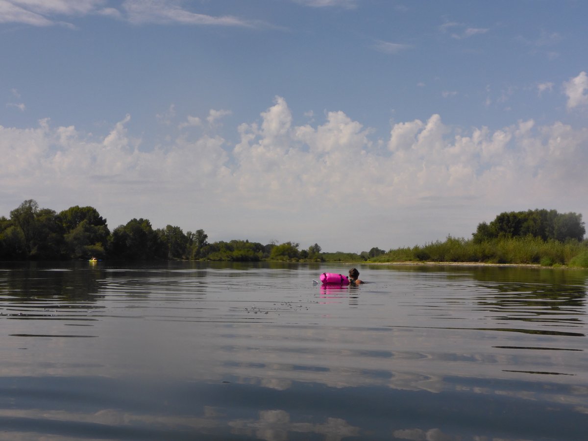 TheLittleCaddy's tweet photo. Swam in &amp; across the Loire, was amazing, will definitely be going back there https://t.co/niFRiK7OCW