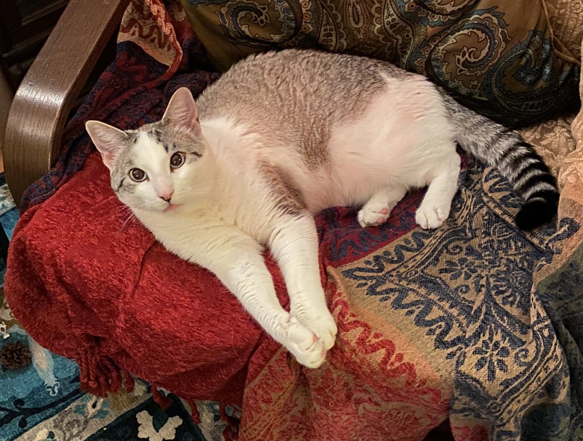 Beth Heise tweet media