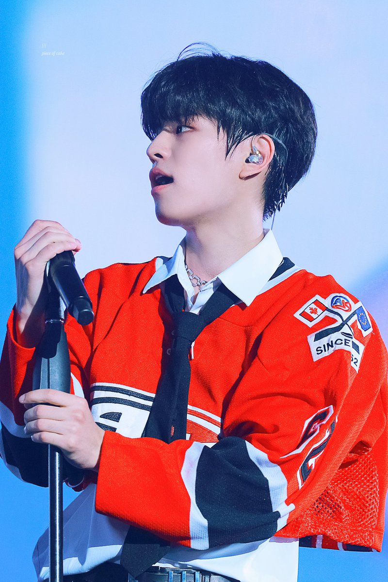 seungmin pics tweet media