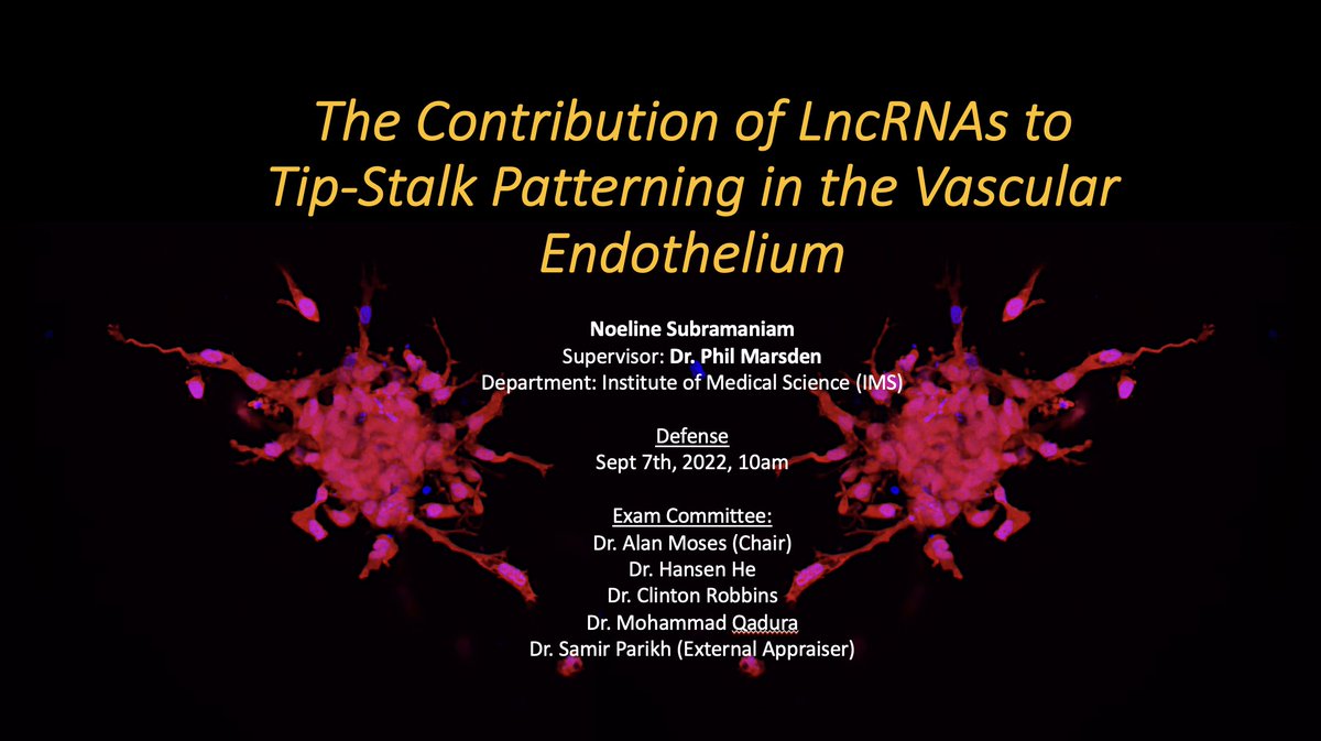 Noeline, PhD tweet media