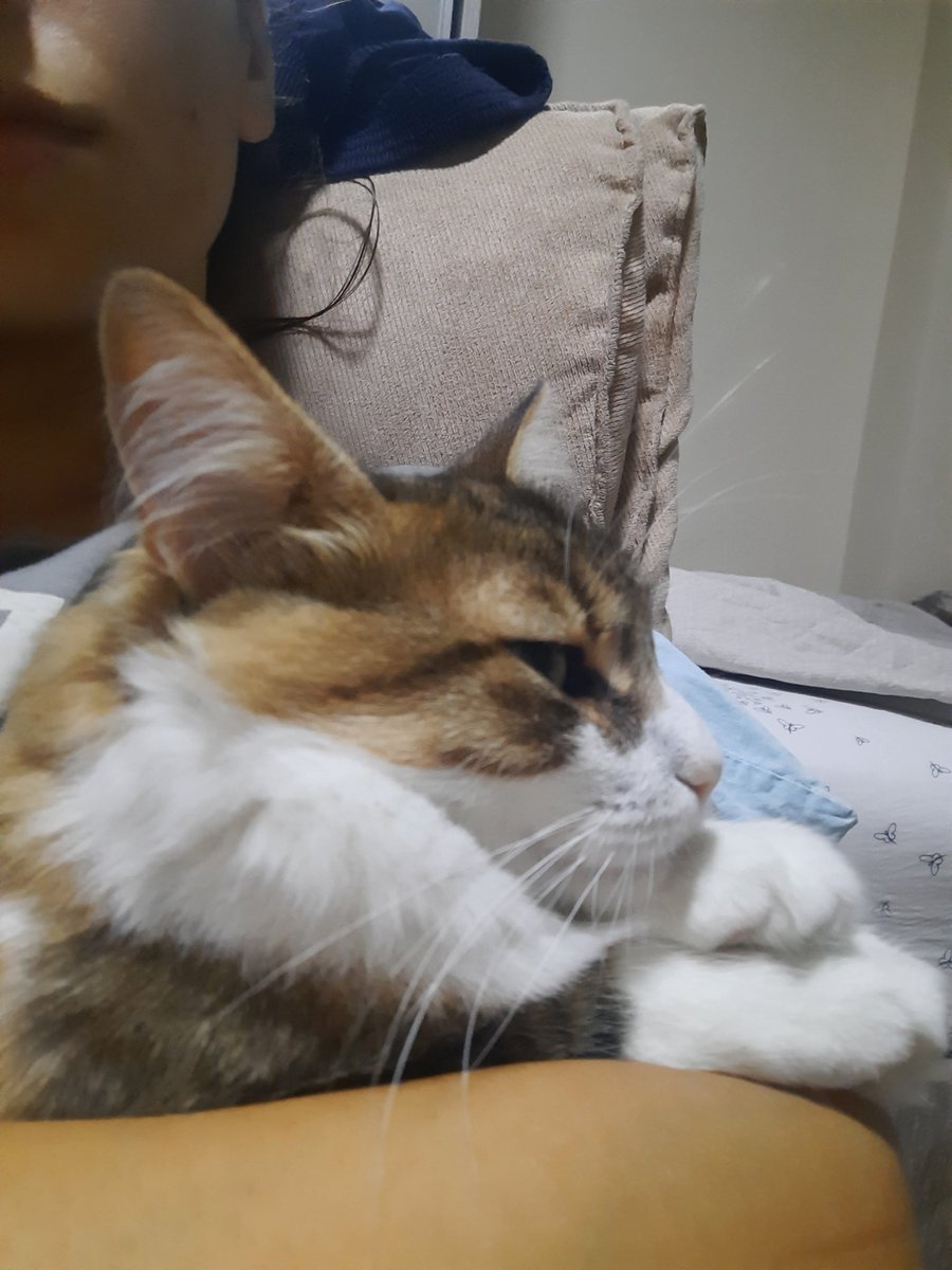 bne çko skılıyorm bu ewde