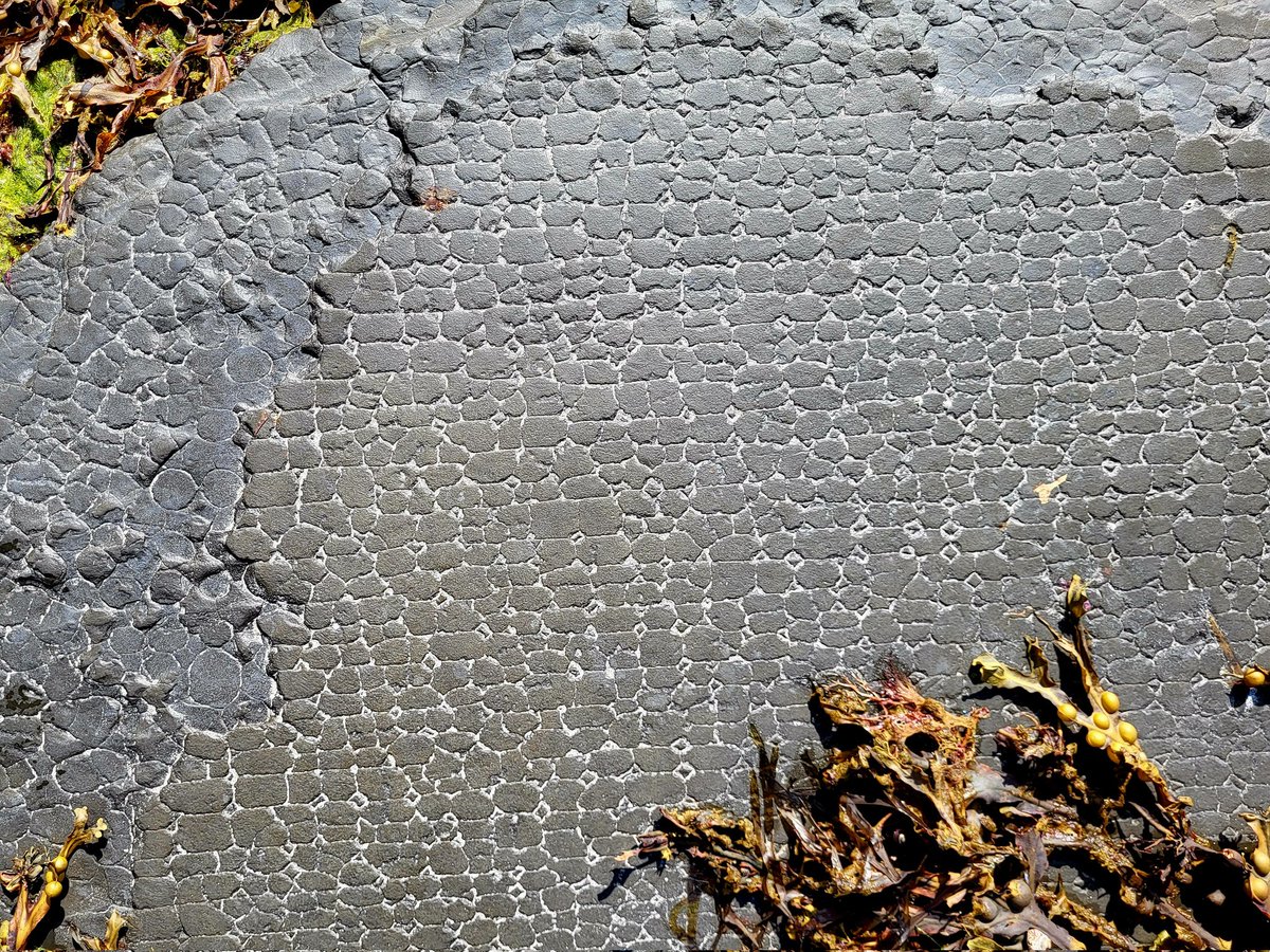 Eye catching patterns in the shale layers beneath the Cliffs of Moher, County Clare, Ireland.