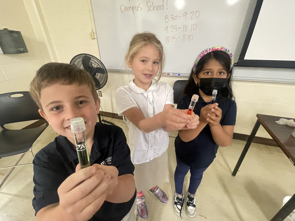 901CampusSchool's tweet photo. Today was #grade2’s Session 2 with @WolfRiverConser ! @901CampusSchool Tigers headed to Ball Hall and learned about the different kinds of water pollution, how to test water, and even got to test water samples of Wolf River, tap, and polluted water! Thank you, Mrs. Justis! 💦🧪🔬 https://t.co/Tu6gYTaYFh