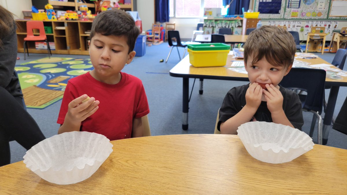 Alison Bancroft tweet media