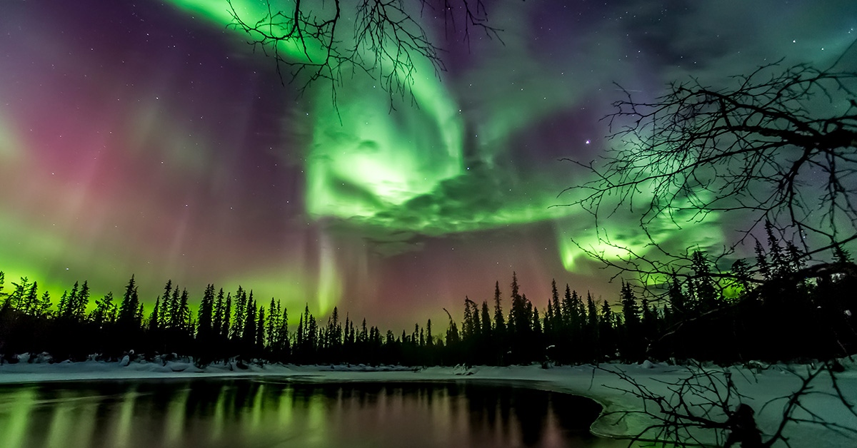 ILTM (@iltm_events) on Twitter photo Did you know that <a href="/OurFinland/">Visit Finland</a> is a great place to see the Northern Lights? This natural light spectacle predominantly appears between the Arctic Circle and the North pole, and thus Finnish Lapland is an ideal location for the hunt: bit.ly/3ByR8t4 #VisitFinland 📸M. Killi Did you know that <a href="/OurFinland/">Visit Finland</a> is a great place to see the Northern Lights? This natural light spectacle predominantly appears between the Arctic Circle and the North pole, and thus Finnish Lapland is an ideal location for the hunt: bit.ly/3ByR8t4 #VisitFinland 📸M. Killi