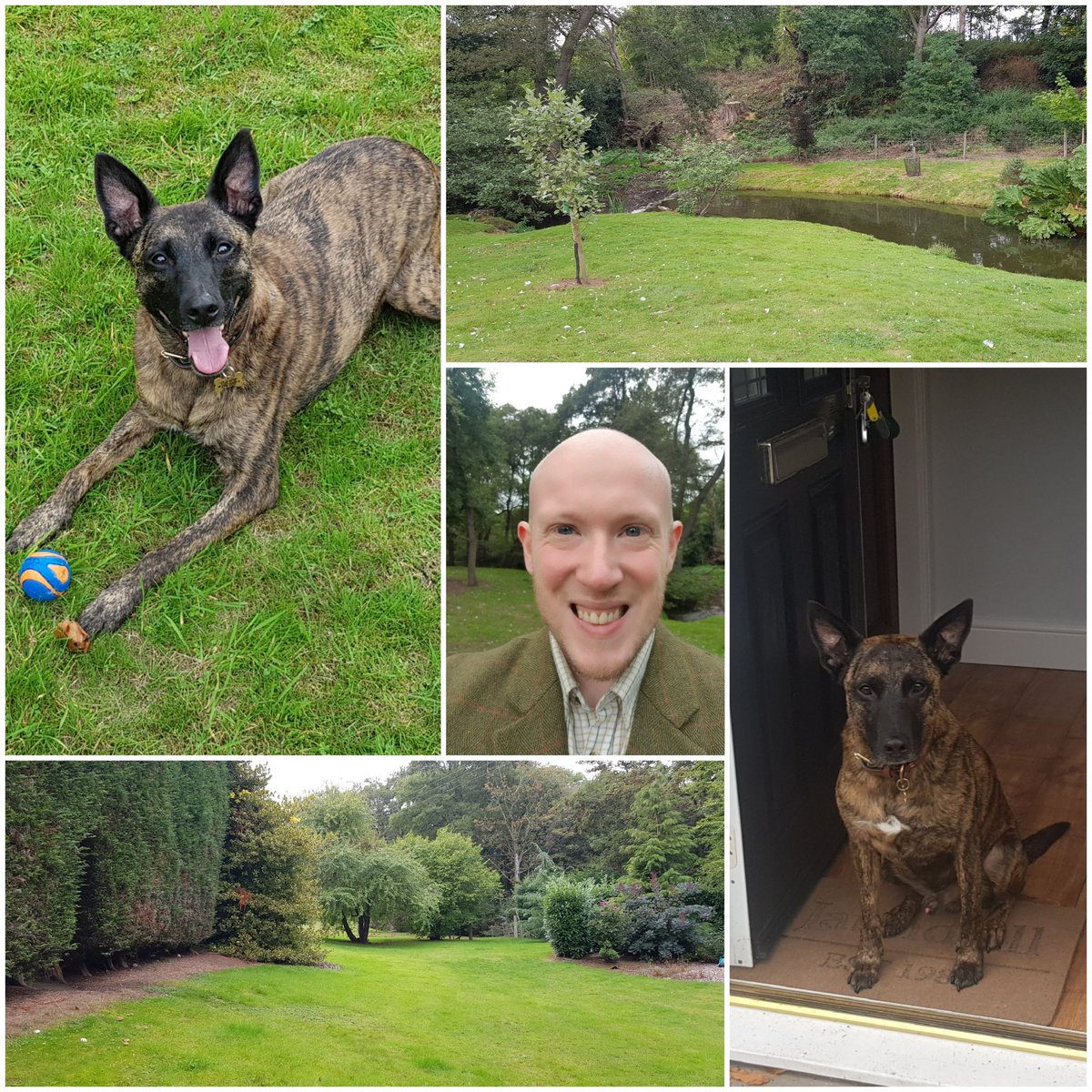 darrenjaundrill's tweet photo. Great day catching up with the team. Have to admit, though, as much as I still have an affinity for #London: I feel a wave of relief when arriving home. Especially when I'm greeted by my canine companion.
#rurallife #govpdc #govdesign #leadership #projectmanagement #dogsoftwitter https://t.co/tZwh9D3eFj