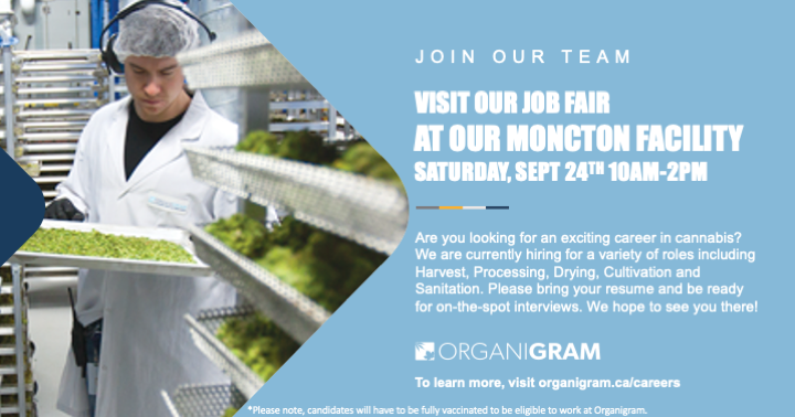 Organigram Global tweet media