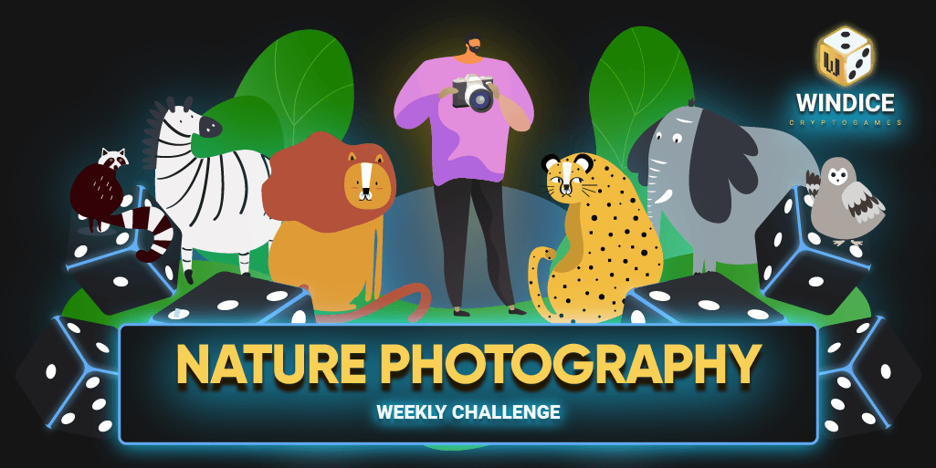 windiceio's tweet photo. We are taking a trip to the wild to capture some beautiful photographs.

Capture all the wilds animals with your lens to claim your prize!

Complete the tasks to get your share of the 0.0052BTC prize pool

https://t.co/RQ1lcaHAXT

#Dice #contest #LTC #BTC #RIPPLE #DOGECOIN #slots https://t.co/gL3gC3spCM