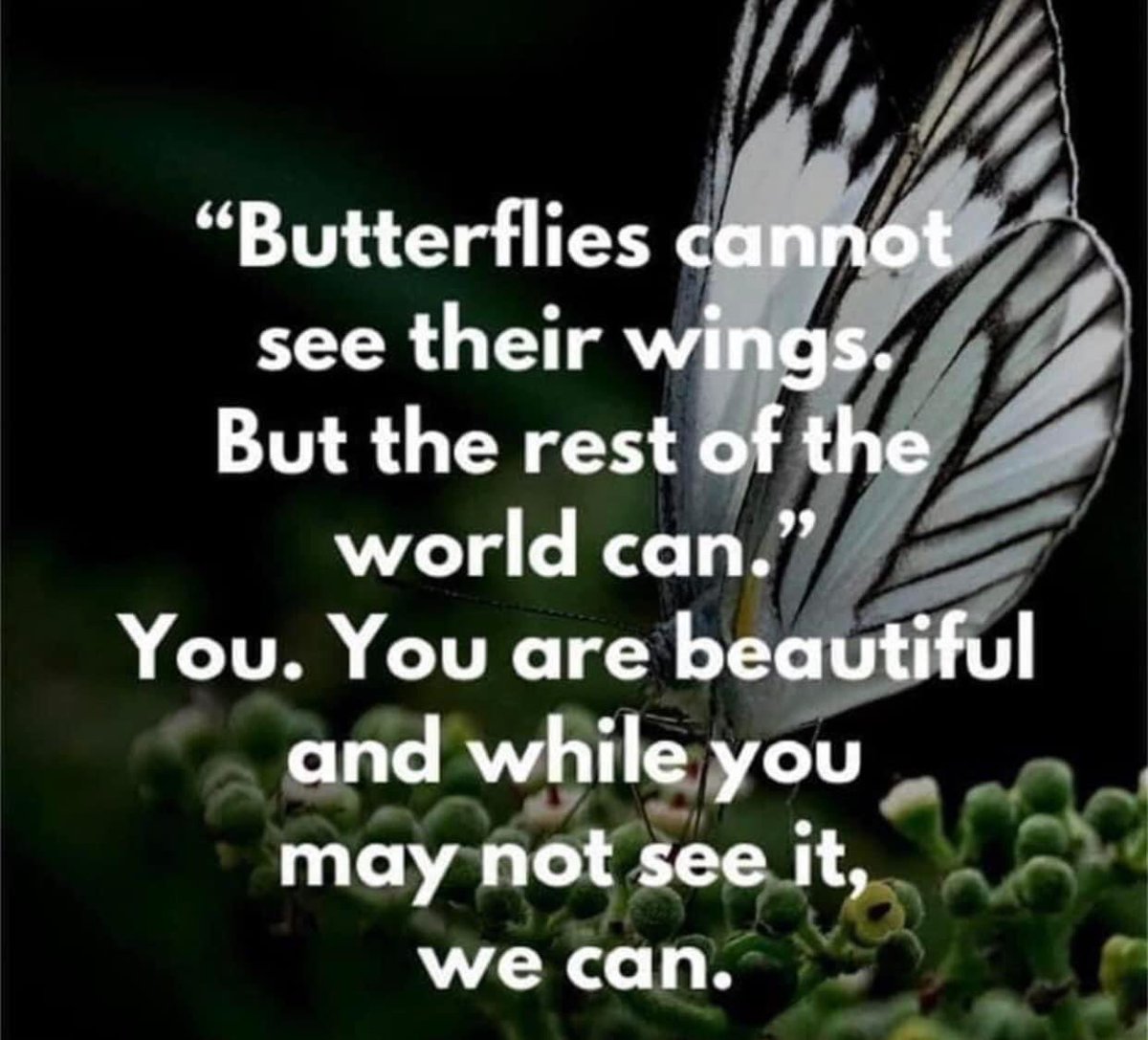 jannsmalltown's tweet photo. For anyone who may need to hear this today ❤️🦋 https://t.co/afwVxrBThk