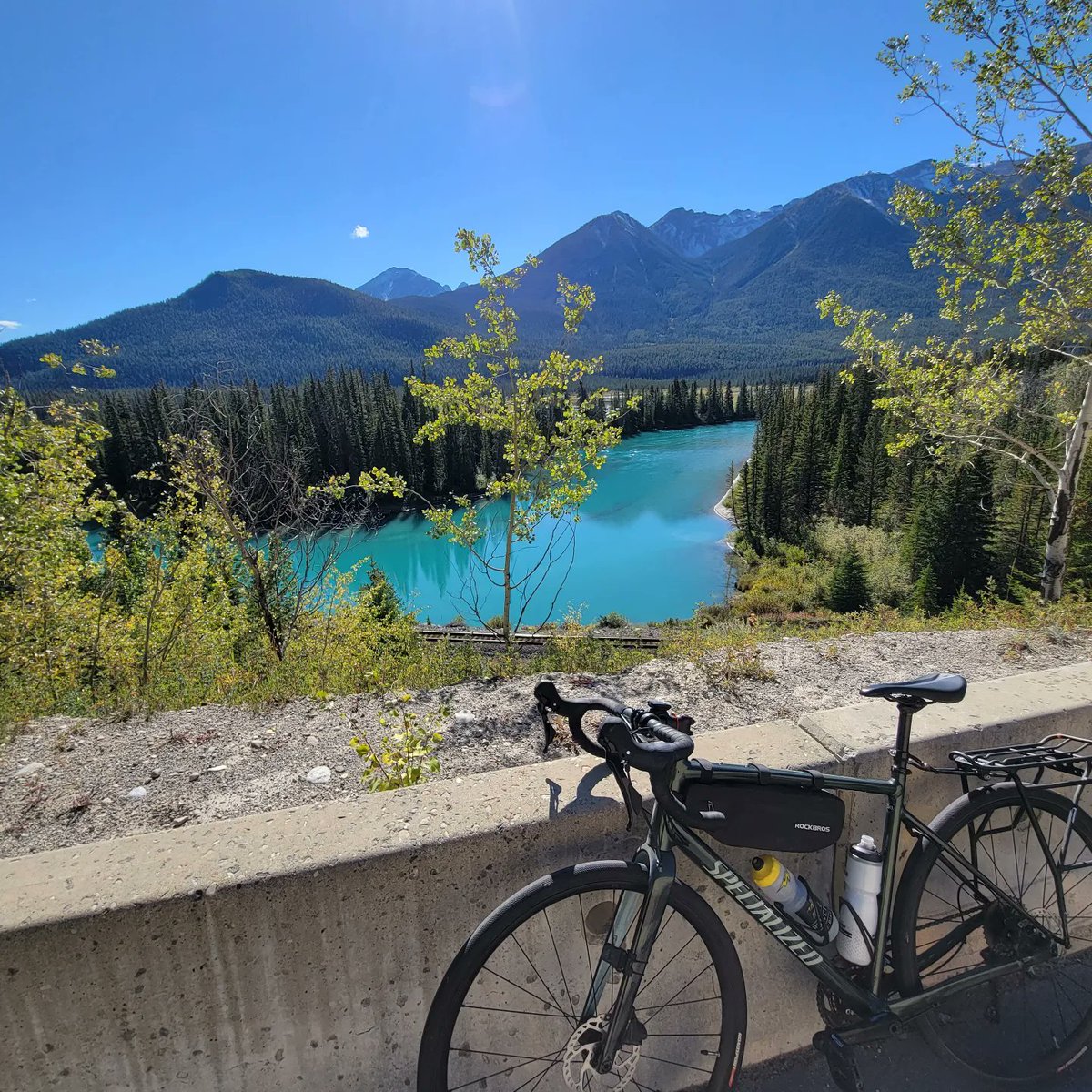 theaimlesscook tweet media